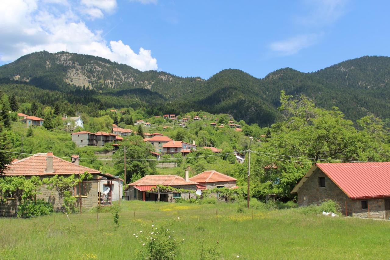 Отель Elatou Ано-Хора Экстерьер фото